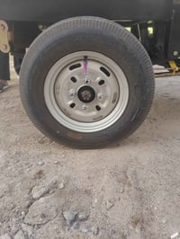 تخم توايل • للبيع • سعر