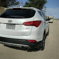 سنتافي ٢٠١٣ • وارد امريكي • لون ابيض