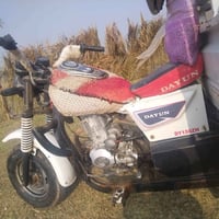 دايون ١٤ • أوراق • سلف