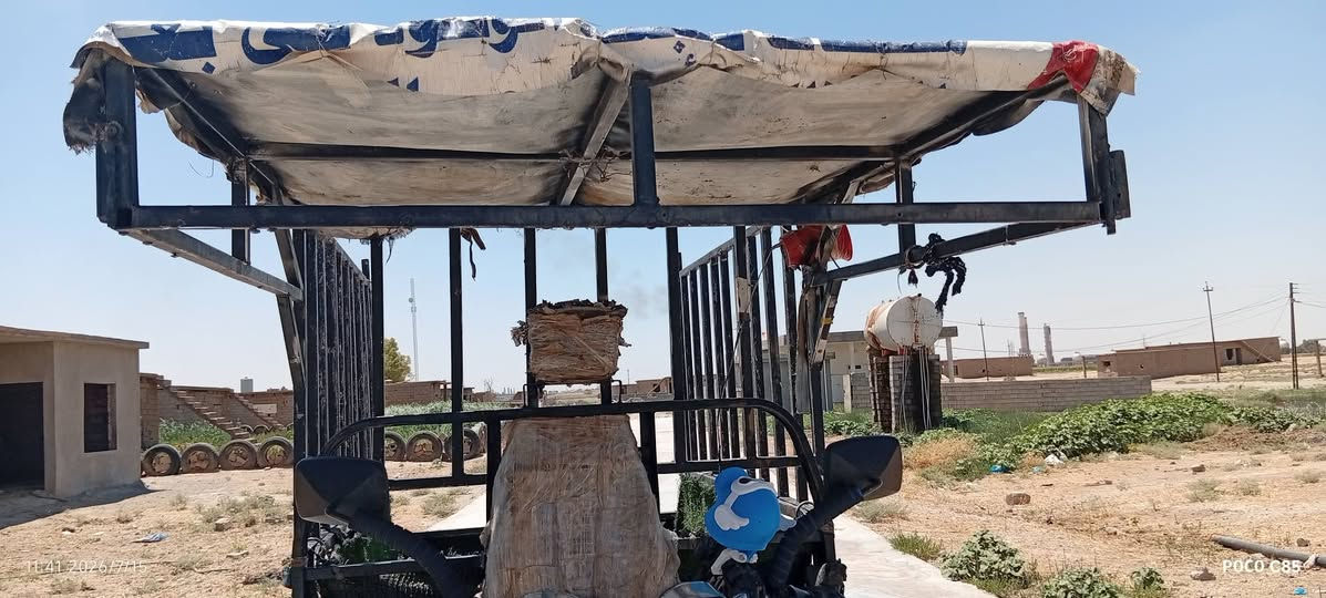السلام عليكم جنج  مال حمل للبيع مكان كركون ناحيه يايجي السعر 60 الف وبي مجال ***********
