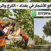 📢 خدمة قطع الأشجار   في بغداد – الكرخ والرصافة 🌴✂️واتساب  ٠٧٧٣٩١٦٧٥٠١