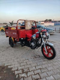 ستوته ١٧ • كفاله عامه • اوراق صولي