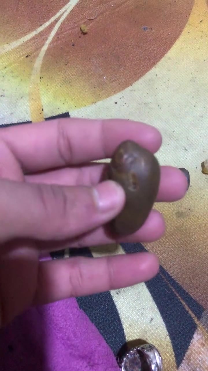 السلام عليكم حجار لبيع مكاني بصره قضأ المدينه لشراي يجي خاص قيم وخذ 👍


**إذا كنت صاحب هذا الإعلان وتريد حذفه لأي سبب، رجاءا أرسل رسالة إلى الدعم الفني**