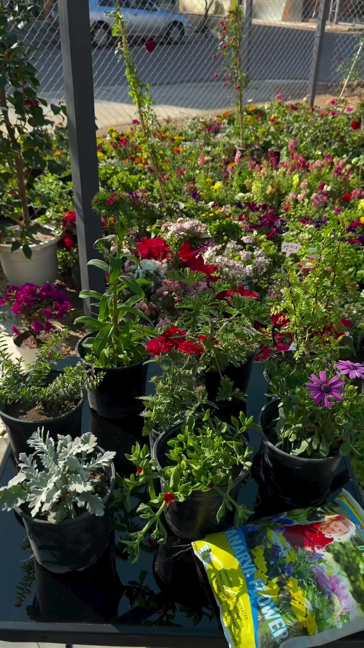 اقوى عروض العيد


**إذا كنت صاحب هذا الإعلان وتريد حذفه لأي سبب، رجاءا أرسل رسالة إلى الدعم الفني**