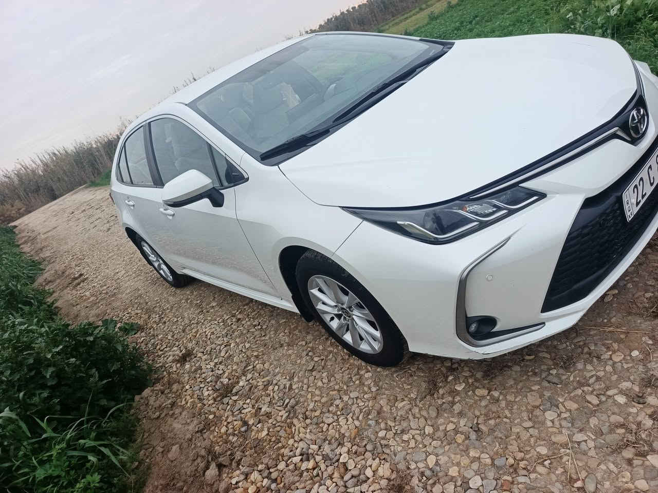 البيع كورله ساز رقم ربيل الدولي ومديل ٢٠٢٣ سياره كفاله عام من كلشي وسعر تصل مكاني بابل شوملي سياره ماشيه ٨٩ الف ***********
