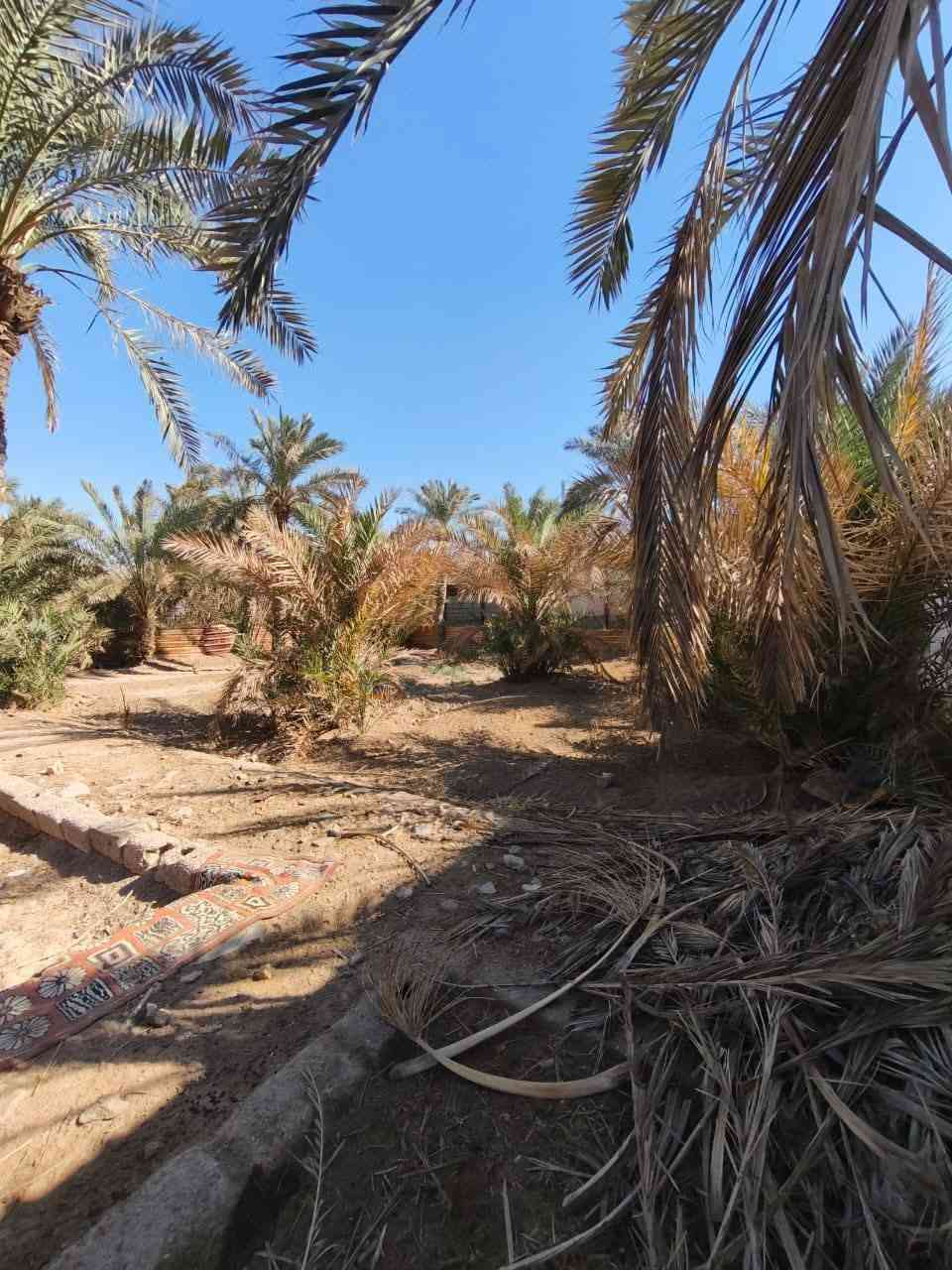 بيع متوازي نص دونم مع بيت
في منطقة كربلاء عامود125
طريق بغداد كربلاء سايد الدخول
 سند25 طابو زراعي  باسمي
مساحة100مربع غرفتين نوم وصالة واستقبال
وطارمه بناء حديث طابوق
السعر100 قابل لتفاوض ويرهم قسط
اتصال  ‎+964 772 461 7382
‎+964 782 602 9144
غير متواجد على الفيس
ملاحظه انه ابو الدونم دلال ولاشي لحد يغ@@شكم تجي مني تاخذه 
اخوكم ابو ريحانه المياحي تحياتي
