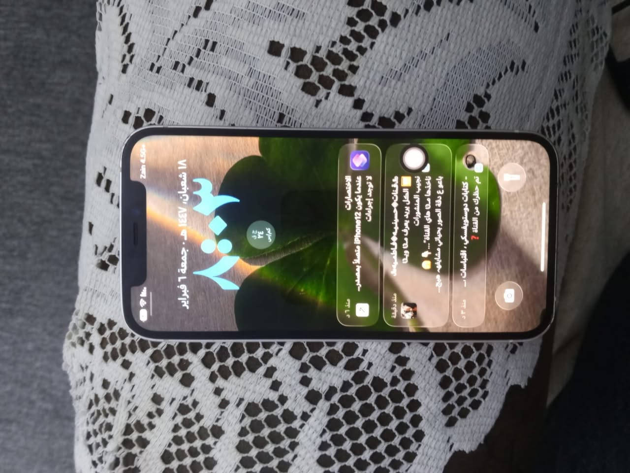 ايفون ١٢ عادي الجهاز وتر بروف برغي مامتحرك منه بطاريه ٧٨ بلادي ذاكره ١٢٨ عوزه ضهر وبي هاي النقطه خفيفه كلش لون اخضر مو اسود ضمان سنه من العطل للتواصل ***********
