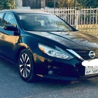 التيما SV • ٢٠١٧ • سود