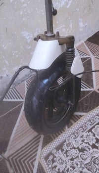 دولفين • ماشه • بلاديات