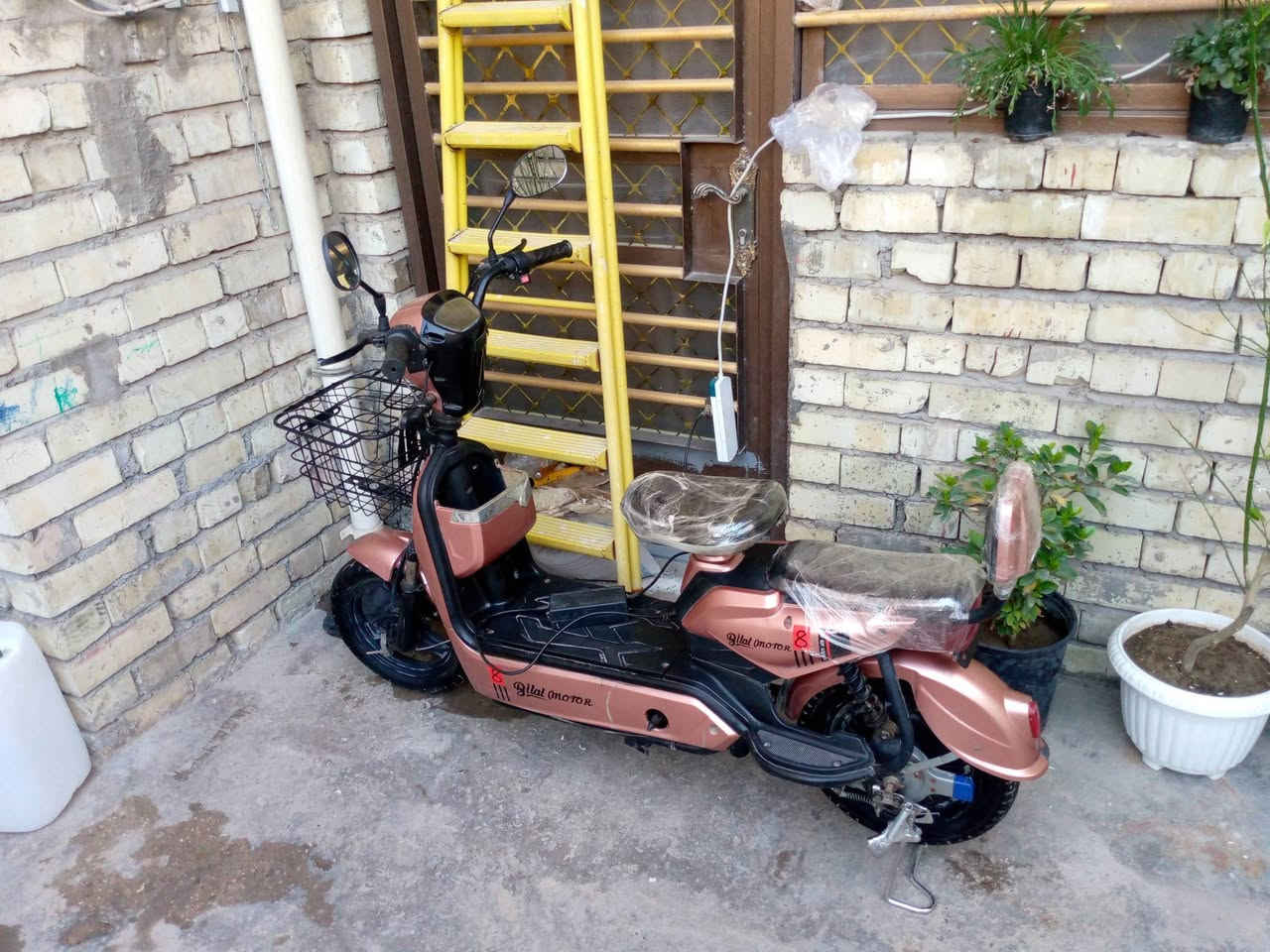 دراجه شحن للبيع حجم 14نظيفه مابيها نقص ..4بطاريات ..3سرع ..اريدها 175مكاني بغداد حي  الجهاد


**إذا كنت صاحب هذا الإعلان وتريد حذفه لأي سبب، رجاءا أرسل رسالة إلى الدعم الفني**