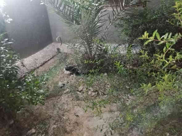 ✨ للبيع بيت زراعي مميز — فرصة ذهبية ✨

بيت زراعي جاهز للسكن، يتميّز بمساحة كبيرة وخدمات متكاملة:

🏡 المساحة الكلية: ٥٠٠ متر
🏗️ مساحة البناء: ٣٠٠ متر بناء طابوق + كونكريت
🌳 خلف البيت: حديقة واسعة، جلسة راقية، أشجار مثمرة، مكان شوي مع ديكور جميل، وبرّ ماء

مواصفات البيت:
 • غرف عدد ٥
 • صالة
 • مطبخ حار/بارد
 • استقبال + ديوان ١١ متر
 • مجمع صحيات خارجية
 • كراج
 • طابقين
 • متوفر كهرباء وماء وكافة الخدمات
 • قريب على المدارس
 • ركن
 • محل تابِع للبيت

📍 العنوان: الصخيين – قرب الشارع العام وقريب من الحولي

💰 السعر: ٢٦٠ مليون فقط — قابل للتفاوض

📞 للاستفسار والاتصال:
***********
