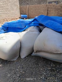 حنطة • درجة أولى • حوالي ٢طن