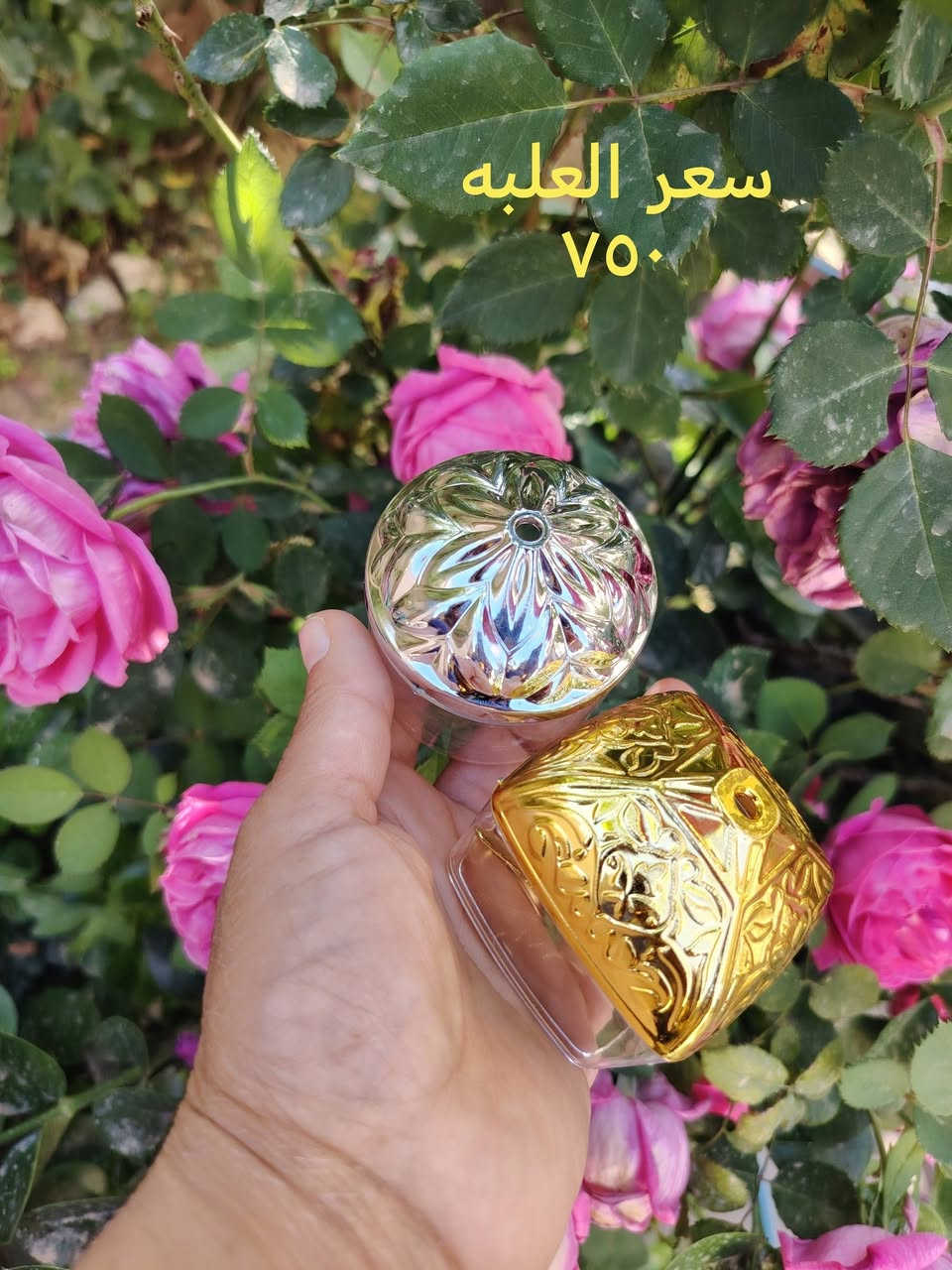 سلام عليكم توفرت أدوات الرسم عالزجاج في كركوك للطلب والاستفسار عالخاص


**إذا كنت صاحب هذا الإعلان وتريد حذفه لأي سبب، رجاءا أرسل رسالة إلى الدعم الفني**
