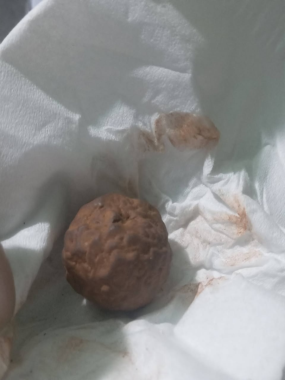سليماني قديم فضه نازله وهبهاب ملاكط طاقه قويه كلش السعر ٣٠الف مكاني بغداد البياع


**إذا كنت صاحب هذا الإعلان وتريد حذفه لأي سبب، رجاءا أرسل رسالة إلى الدعم الفني**