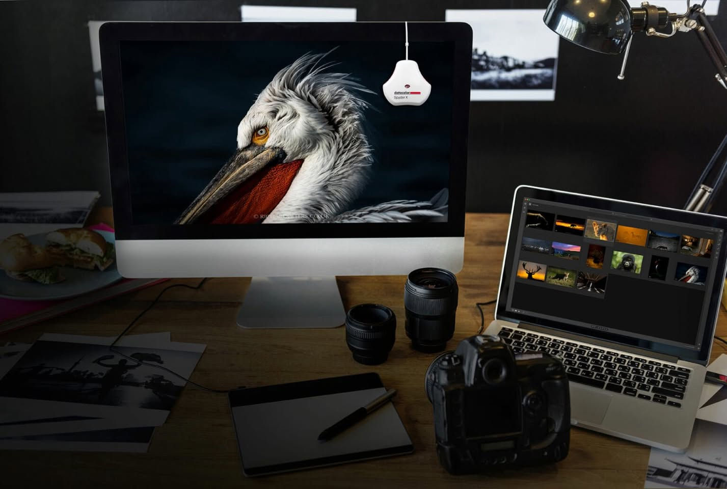 جهاز SpyderX Pro
شركة Datacolor
أداة متطورة لمعايرة ألوان الشاشات، مصمم خصيصاً للمصورين والمصممين. يتميز بتقنية ألوان قائمة على العدسات ومستشعرات متطورة تضمن دقة عالية في تمثيل الألوان، وتوازن اللون الأبيض، وإظهار تفاصيل الظلال بشكل ممتاز.

أبرز التفاصيل والمميزات الأساسية للجهاز:

السرعة والسهولة: يُعد من أسرع أجهزة المعايرة التي تقدمها الشركة، حيث يمكنه إكمال عملية المعايرة بدقة في أقل من دقيقة.

القياس التلقائي للإضاءة: يراقب مستشعر الإضاءة المحيطة في غرفتك ويقوم بضبط سطوع الشاشة وألوانها بناءً على ذلك.

ميزة SpyderProof: تتيح لك رؤية صورة قبل وبعد المعايرة باستخدام صورك الخاصة للتأكد من التغييرات.

أهداف المعايرة: يأتي مع 12 هدف معايرة محدد مسبقاً للتحكم الكامل في سير عمل الألوان.

 لزيادة دقة التقاط الألوان مقارنة بالفلاتر التقليدية.
أقصى سطوع مدعوم: يقيس حتى 1,200 شمعة/المتر المربع (cd/m²).

مستشعر الإضاءة المحيطة: يضم مستشعراً مدمجاً بـ 5 إعدادات لقياس إضاءة الغرفة وتعديل السطوع تلقائياً.

تغطية مساحات الألوان: يقيس ويحلل نطاقات الألوان الأساسية: sRGB, AdobeRGB, NTSC, P3.

فتحة التثبيت: يحتوي على فتحة لولبية قياسية بمقاس 1/4 بوصة - 20 للتثبيت على الحوامل الثلاثية (Tripod).

الاتصال والمنافذ (Connectivity)نوع التوصيل: كابل مدمج ينتهي بمنفذ USB Type-A التقليدي.

بروتوكولات USB المدعومة: متوافق مع منافذ USB 1.1, USB 2.x, USB 3.x.التوافق مع المنافذ الحديثة: يدعم العمل على منافذ USB-C عبر محولات (Adapters) التحويل من A إلى C.

الشاشات المدعومة (Supported Displays)نوع الشاشات: يدعم معظم شاشات العرض الحديثة لأجهزة الكمبيوتر المكتبي والمحمول.

عدد الشاشات: يدعم معايرة حتى 3 شاشات متصلة بمحطة العمل الواحدة.متطلبات النظام والتشغيل (System Requirements)

أنظمة التشغيل: Windows 10 و Windows 11 (بأنظمة 32 و 64 بت)، وأنظمة Mac OS X 10.10 فما فوق.

أقل دقة شاشة مطلوبة: 1280×768 بكسل أو أعلى.بطاقة الرسوميات: كرت شاشة 16-bit (ويُفضل 24-bit).

الذاكرة العشوائية (RAM): حد أدنى 1 جيجابايت.المساحة التخزينية: توفر 500 ميجابايت على القرص الصلب لتثبيت البرنامج.

السعر والتفاصيل خاص .. 
متوفر توصيل كل العراق ..


**إذا كنت صاحب هذا الإعلان وتريد حذفه لأي سبب، رجاءا أرسل رسالة إلى الدعم الفني**