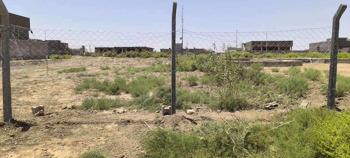 سلام عليكم قطعه البيع حي المنصور الفلكه مال يمام الحمزه عليه السلام مساحته 400متر بصف بيت العياشي تبعد عن شارع العام 200متر مداور بسم المشتري لاستفسار عله رقم ***********بي واساب
