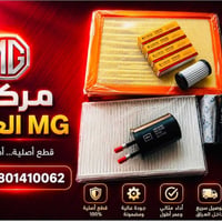 فلاتر أصلية • MG5 • النجف الصناعي