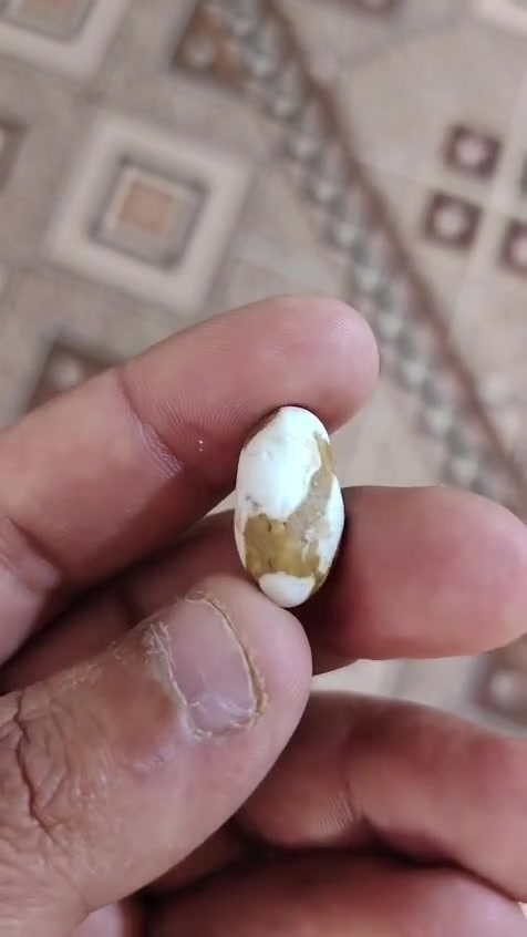 سلام عليكم
سليماني وعطف.
 للبيع


**إذا كنت صاحب هذا الإعلان وتريد حذفه لأي سبب، رجاءا أرسل رسالة إلى الدعم الفني**