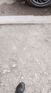 سلام عليكم مكلف بالنشر.كيا سيفه 94رقم دولي بغداد بسمي كير محرك مفتوح السيارة بيه قطع ناريه بس وتعهدلك بل باقي تخم تاير صدر دبلات جديد موجوده بغداد العبيدي السعر ٣٢وبي مجال ابيع ع وضعها قطع ناريه الشراي يتصال ع رقم ***********
