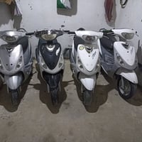 منغولي بوشه • ماكس • ٥٠
