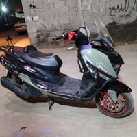 ستروك • ٢٠٢٤ • زيتوني