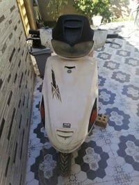 دراجة فراشة • متروكة طافيه • الحمزة الغربي