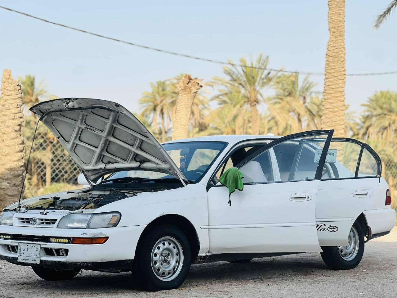 سلام عليكم ورحمه الله وبركاته 
كورله للبيع 
مكفوله كفاله عامه 
تبريد ثلج 
سنويه ماصاقطه
مصبوغه جماليه فقط 
مكلف بل نشر***********
