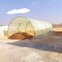 بيت بلاستيك • ٦×٤م • ٢٢٠سم