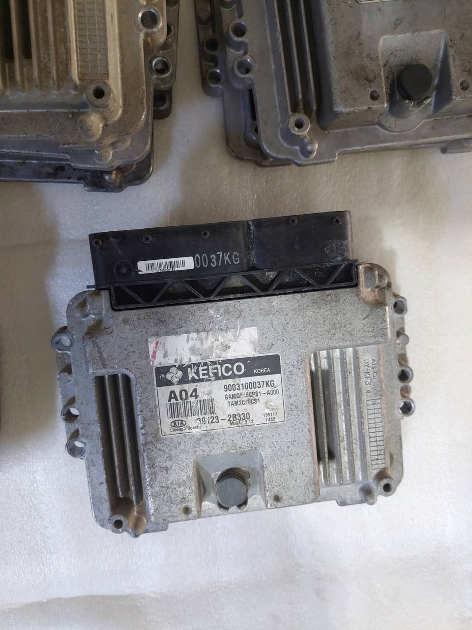 سلام عليكم
متوفر عقول اكسنت وريو 
جمله ومفرد
توصيل متوفر 
***********
