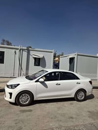 بيكاس ٢٠٢١ • سليمانيه • بدون صبغ