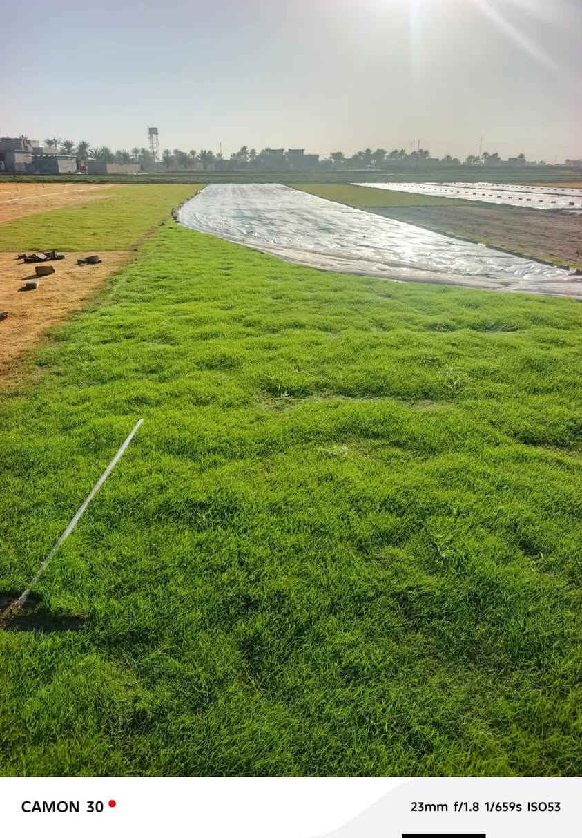 باسعار ثيل ديالى الطبيعي 🏡
أهلاً بكم في مجموعه مزارع ابو عباس الثيل  الهندي الطبيعي مزارع ديالئ 🌿🌱
 نقدم لكم افضل انوع الثيل الطبيعي عالي الجوده يتحمل كافه الضروف البيئية.🌦️🌞
دائم الخضرة🌿🌳 وباسعار تنافسيه ☘️❤️
#مستعدون لتجهيز وفرش الحدائق🏡 ودوائر الدولة🏡والمنازل🏡🏡
و تجهيز الملاعب🏟️ والمنتزهات الجودة العالية في العمل👷👷

مع خدمة التوصيل خلال24ساعه🚛🚛
الاسعار 💵💸 تختلف حسب الكمية 
للاستفسار الاتصال على : الرقم 
او التواصل مع الصفحه  او ارسال رسالة على الوتساب ‏‪***********
