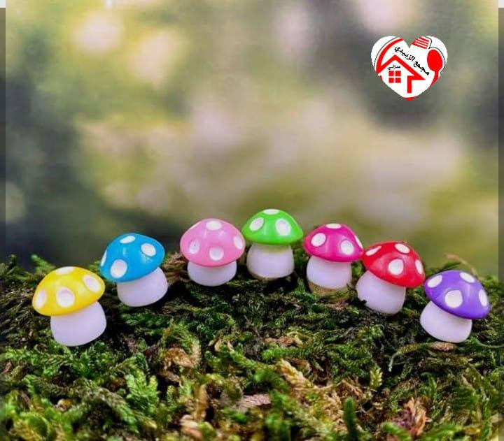 خدع بصرية
تزين زرع والسندان
دعسوقة🐞 + فطر 🍄
ينطي جماليه للنباتات الصناعيه
مجمع الزبيدي المنزلي


**إذا كنت صاحب هذا الإعلان وتريد حذفه لأي سبب، رجاءا أرسل رسالة إلى الدعم الفني**