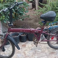 باسكل • حجم 26 • مراوس