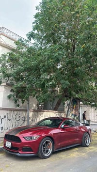 موستانغ • نظيف • شفة ٢٠ عريضه