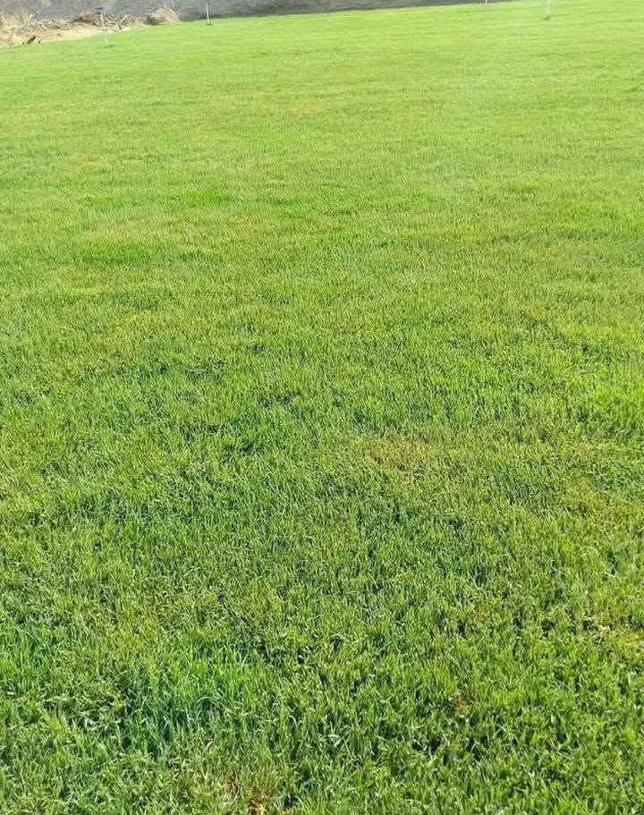 يوجد ثيل درجه اولا بنواعه.المختلفه🌿
تجهيز...👇
مشاتل🌴👇
دوائر حكوميه🏦👇
منازل🏡👇
منتزهات🏄👇
ارصفه.👈...يوجد توصيل في جميع المحافضات🌏وَبّڴمٌيـاتْ مٌٌختْلُفَهہ 
***********
