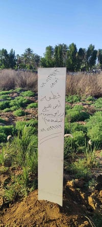 قطعة ارض للبيع زراعي سند 25 حي الحسين مقابل باب الجزيرة الاول خدمات كا...