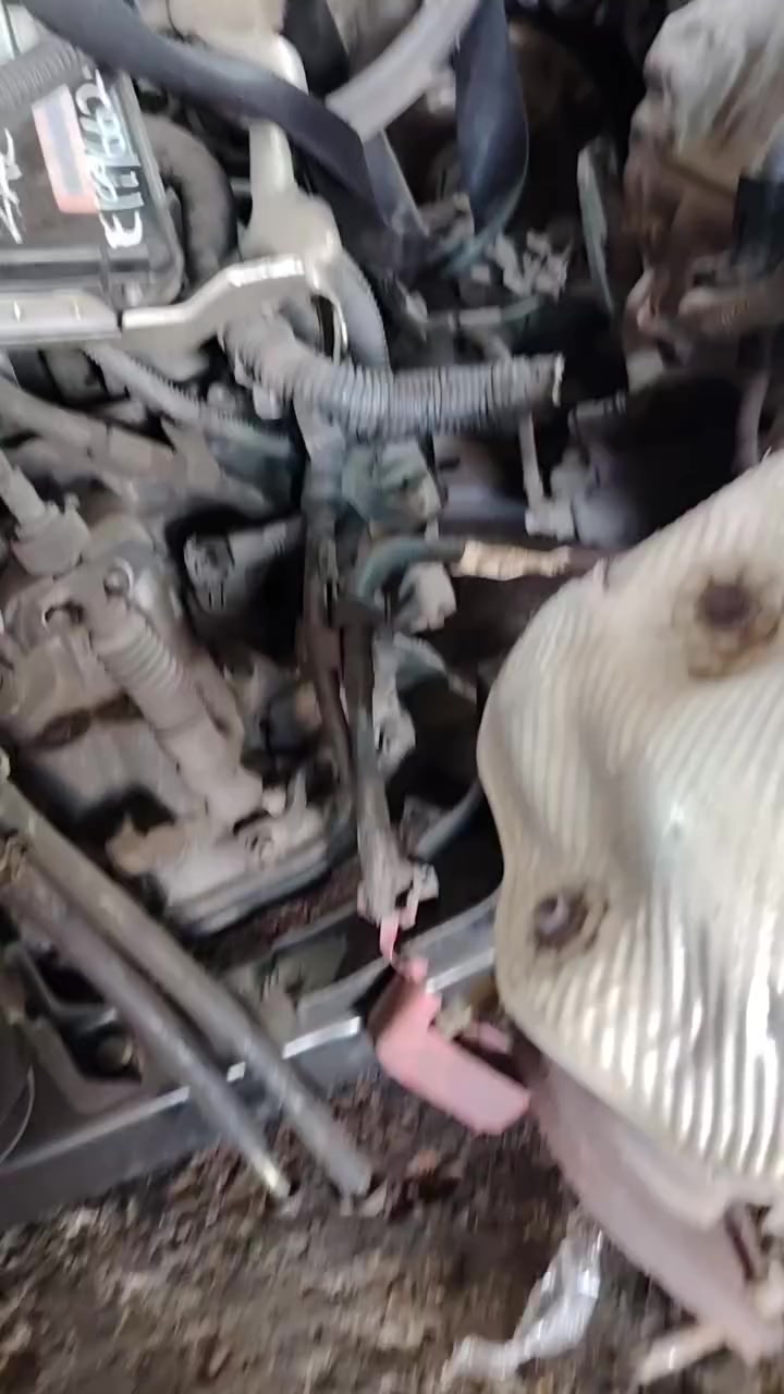 محرك كامري ٢٤٠٠  2AZ


**إذا كنت صاحب هذا الإعلان وتريد حذفه لأي سبب، رجاءا أرسل رسالة إلى الدعم الفني**