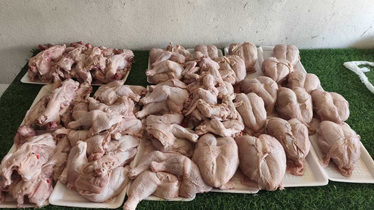و یوجد لدینا تفسیخ دجاج درجه
 اولیییی مال الیوممممممم بارخص سعر🔥🔥🔥🔥🔥🔥
صدر5750😱😱😱
فخذ4500😍😍
جناح4000😱
قفص صدری ویا رکبە و ضهر1500😱
کبد6000دینارررر‌😱😱

و یوجد لدینا توصیل لکافە مناطق طوززززز‌🔥🔥🔥🔥
***********

عنوان:🖤من فرع تجنید الی بجانب مرکز شرطە تصعد لجبل حتی توصل لبدایە سایدین احنی مقابل شیرزاد قصاب وقریب من مدرسە فتوە و کباب جمال
♦♦♦♦♦♦
ناونیشان:🖤هەر لە دوکانە شکاوەکان دێیە خوارەوە لەسەر دوسایتەکە بەرامبەر شێرزاد قەساب دوکانەکەی دیار.

snabلنعغاێاkdkdkdkdkReieieehhhfg5jjr4hhTrrjrjhhh
