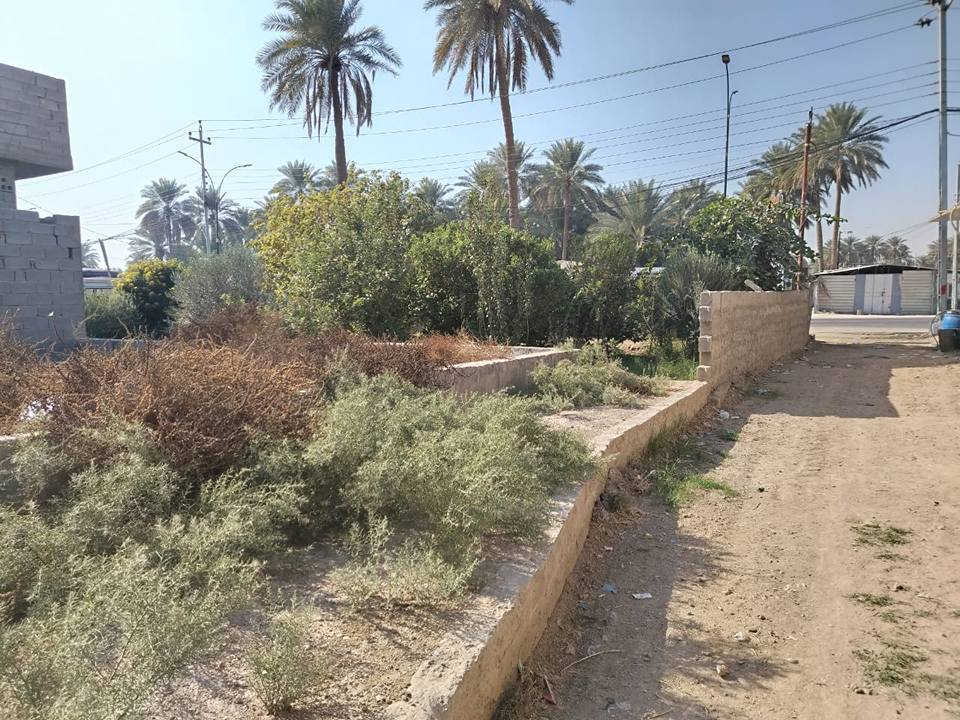 قطعة مساحة 1100 متر مع دار سكن مساحة 175متر  مع باتلو بنفس خارطة البيت والمتبقي حديقة مثمرة متنوعة الأشجار مفوض بالطابو سند 25 في منطقة الإبراهيمية / بزل مطشر مباشرة على الشارع الرئيسي السايدين واجهة القطعة تجارية 26 متر مع كافة الخدمات. 
الاتصال ***********
           ***********
           *********** كربلاء, العراق
