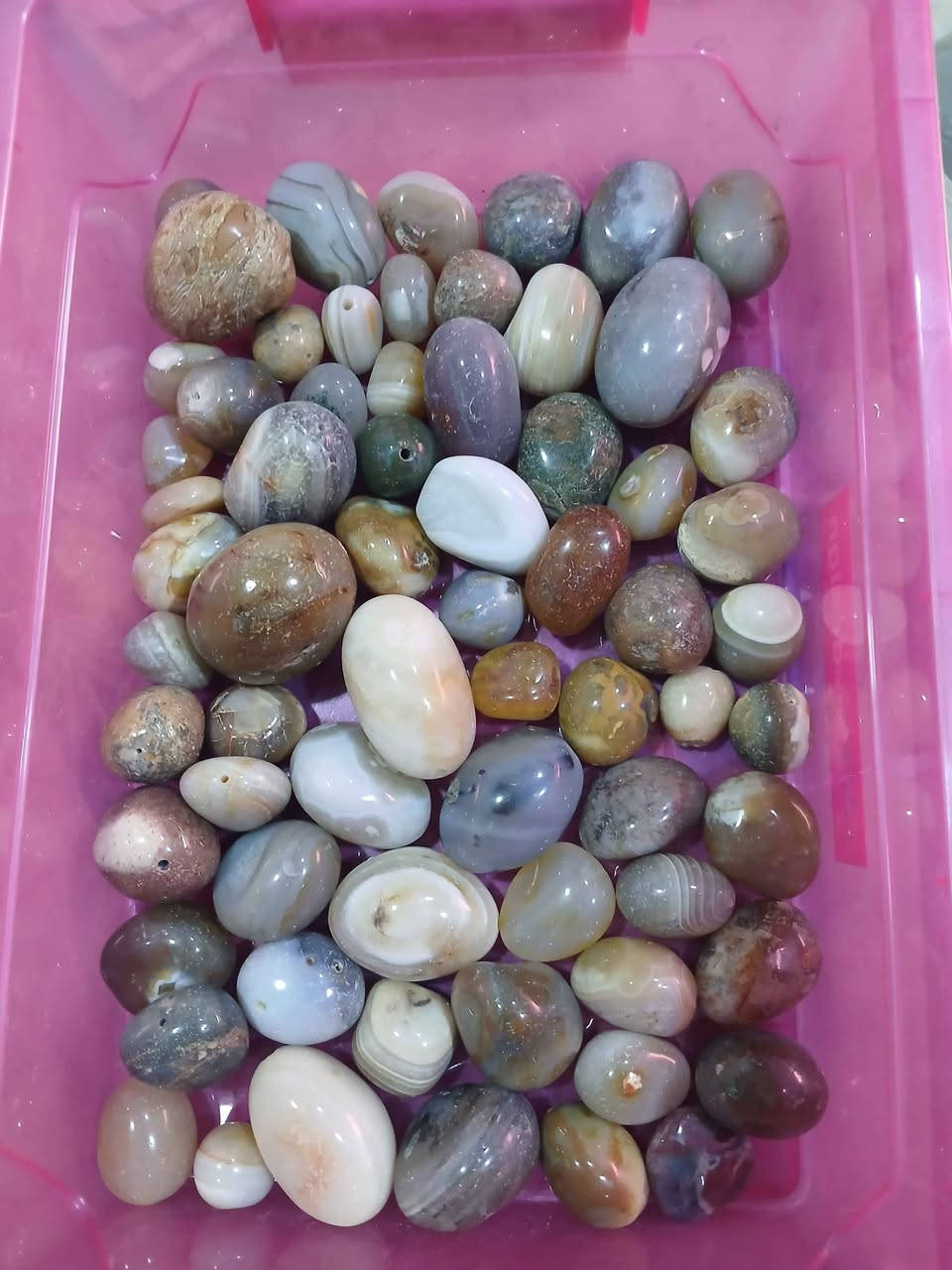 احجا كريمه منوعه ابيعهم جمله سعر 3  مليون سعر ثابت بدون عمله ولا اسئله عن النوع والشكل


**إذا كنت صاحب هذا الإعلان وتريد حذفه لأي سبب، رجاءا أرسل رسالة إلى الدعم الفني**