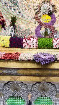 قطع ارض • بتروكيمياويات • البصرة