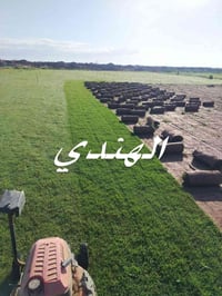 ثيل ديالى • طبيعي • توصيل عدكم