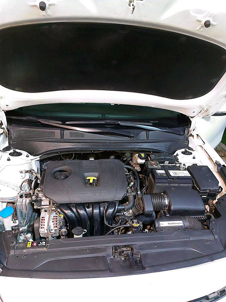 سيراتو ٢٠٢٣ خليجي محرك ٢٠٠٠ اشاير بلمري حساس خلفي كامره تحكم ستيرت كير ومكينه كفاله سياره ماشيه  ٤٤ الف مكان السياره بغدادالسعر ١٦٨ ورقه بيه باب السايق والجاملغ رقم الهاتف ***********
