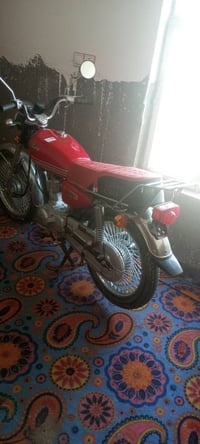 سكنر • جديد • ستوته