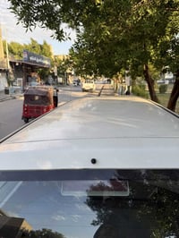 ناتيفيا • ٢٠٠٦ • باسمي