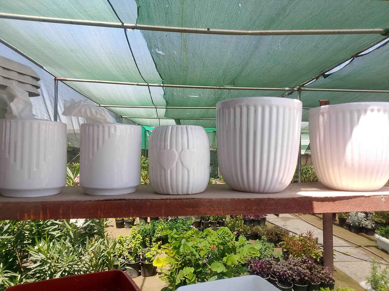 (بسم الله))
((مشتل الأنوار))🌻🌷🌵
يعلن مشتل الأنوار عن توفر كافة النباتات الزينه والحمضيات داخل المشتل وبأسعار تنافسيه 🔥🔥
زورونأ في العنوان الدائم🔥🔥
العنوان الصويره الشارع العام مطعم هنداس مجاور مجمع أبو زهراء للسيراميك 🔥🔥 
للتفاصيل اكثر داخل الصور 
ويوجود خدمه توصيل مجاني 🚛 🚚 🚗


**إذا كنت صاحب هذا الإعلان وتريد حذفه لأي سبب، رجاءا أرسل رسالة إلى الدعم الفني**