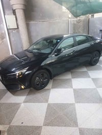 النترا 23 هايبرد خليجي مصرف مرواس بسني هندي نضيفه 07812222422