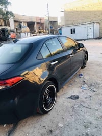 هايبرد وارد امريكي  ٠٧٧٣٩٥٣٥٩٣٩