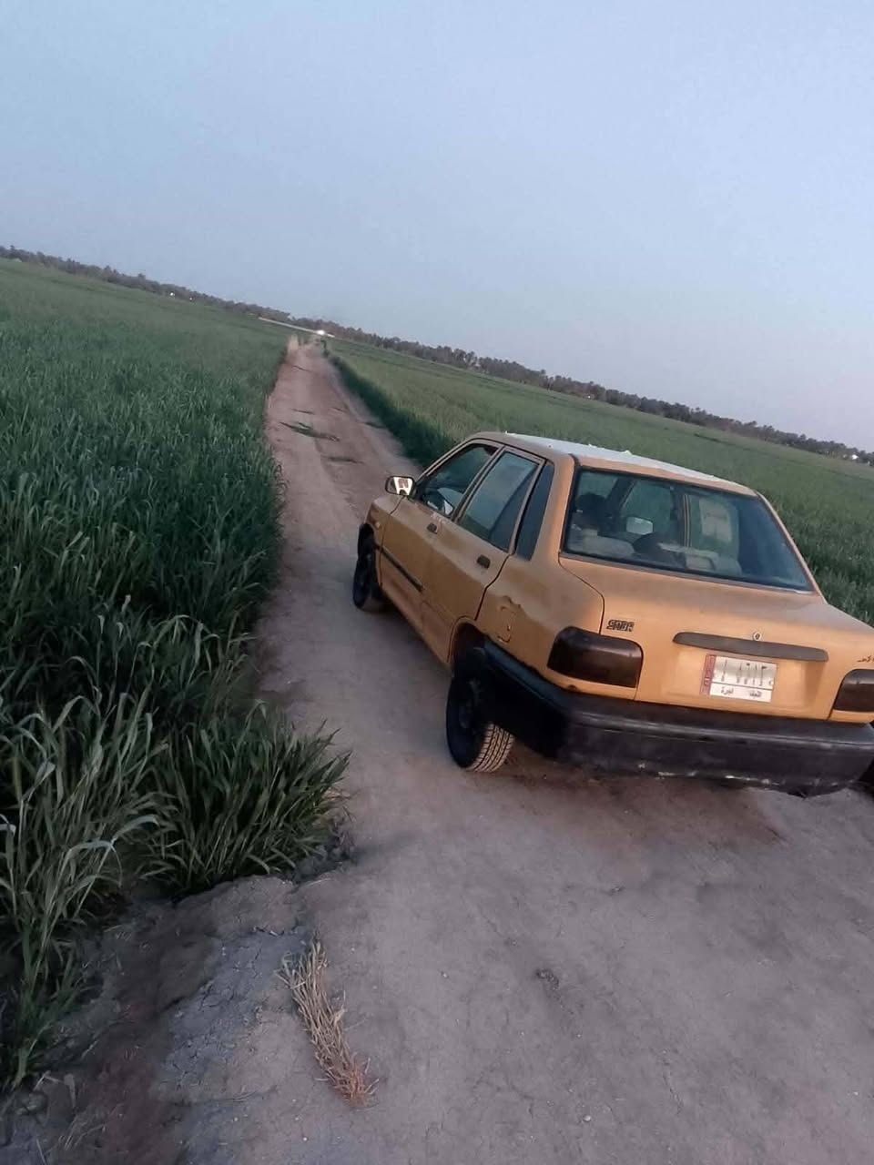 السلام عليكم سايبه موديل 2011 سنويه 27 مصفرها وغرامات مقفول جير مكينه شواصي راعيها موجود بالنجف بزاع رقمها من عندي سعر 11 وبيها مجال كربلاء حي العامل ***********
