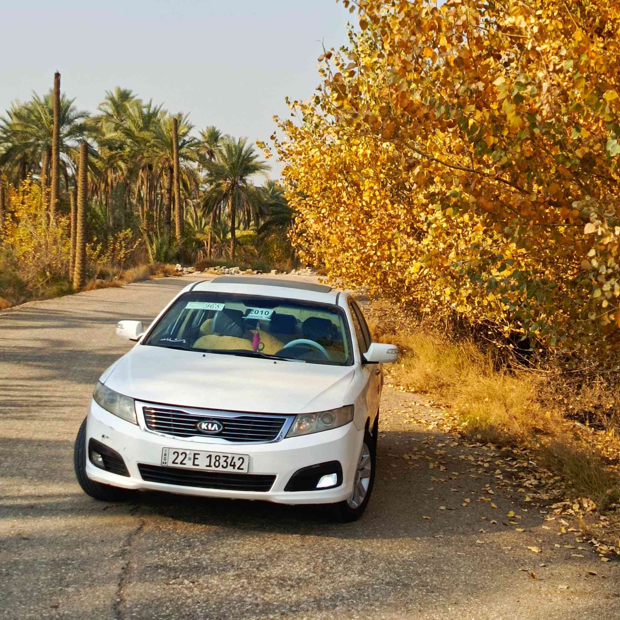 رقم اربيل بسمي تحويل او وكاله
مكينه كير كفاله حداديه تخم تاير ويل جديد غرفه نضيفه 

بيها 4قطع صبغ بدون دواخل السعر 110 مكاني بابل مسيب 

***********
